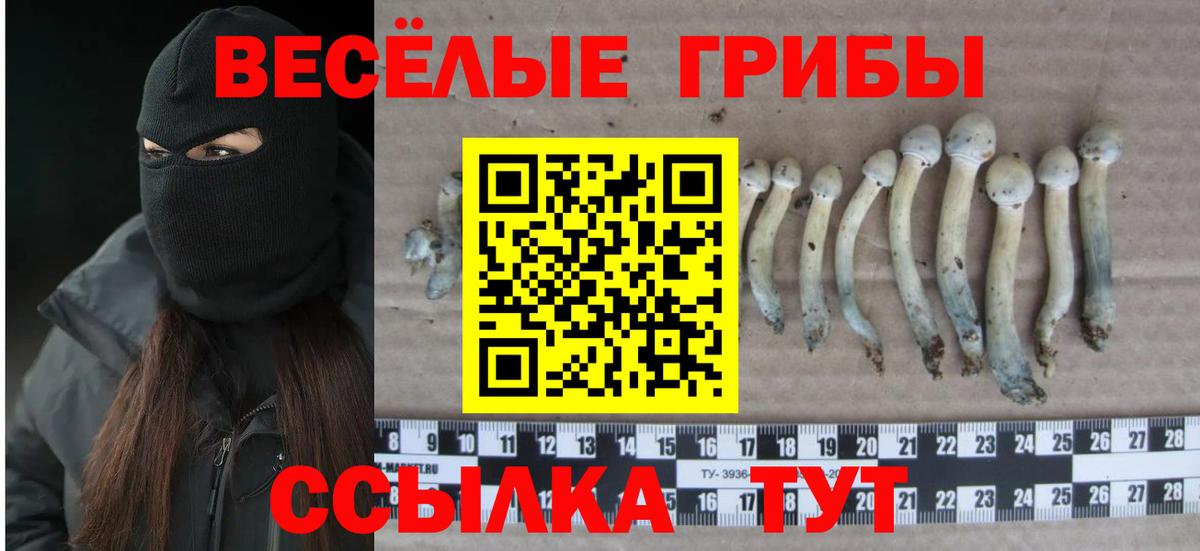 Псилоцибиновые грибы мухоморы  Галлюциногенные грибы Magic Shrooms  Саянск  Вход с VPN 